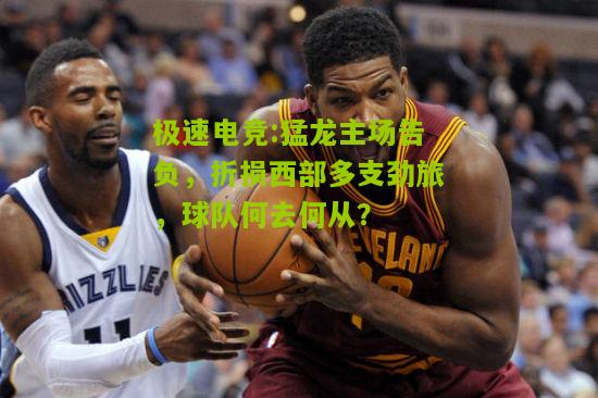 猛龙主场告负，折损西部多支劲旅，球队何去何从？