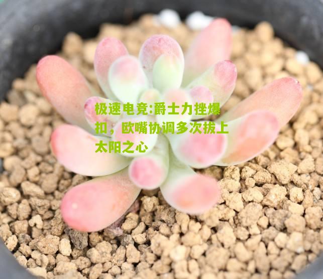 爵士力挫爆扣，欧嘴协调多次拔上太阳之心